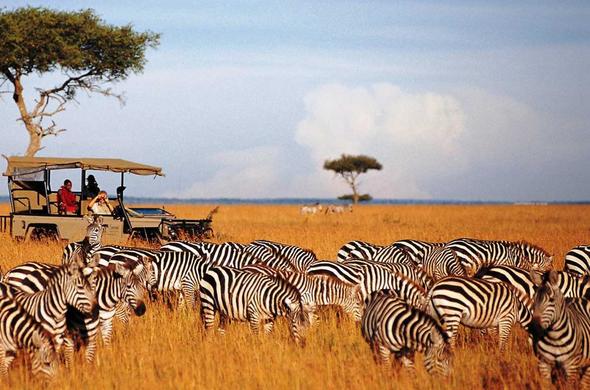 Luxury Maasai Mara Safari Experience